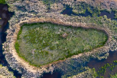 İnsansız hava aracından bataklık manzarası. Bataklık manzarası.