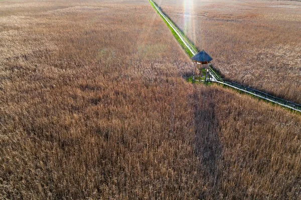 Marshes and Reeds wetland from top view aerial drone photo shoot.