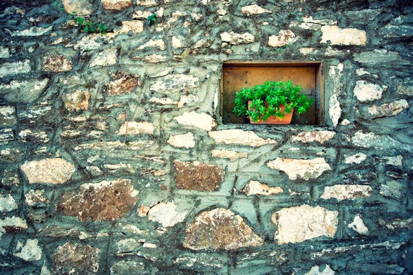 Muro Piedra Vintage Con Maceta Griego Específico —  Fotos de Stock