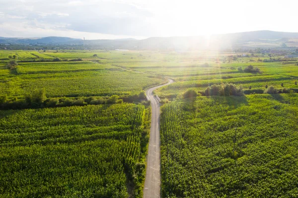 トランシルヴァニア ルーマニアの緑のフィールドと牧草地と無限の緑豊かな牧草地や農地の空中 ドローンビュー — ストック写真