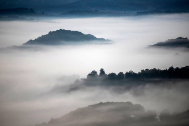 Gün doğumunda dağlarda güzel bir manzara. Ormanla kaplı sisli tepeler ve vadi manzarası.