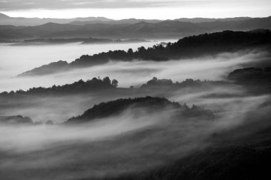Gün doğumunda dağlarda güzel bir manzara. Ormanla kaplı sisli tepeler ve vadi manzarası.
