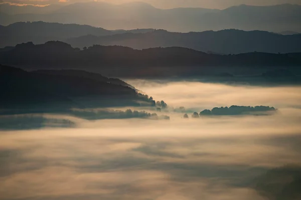 Beautiful Landscape Mountains Sunrise View Foggy Hills Valley Covered Forest — Stock Photo, Image