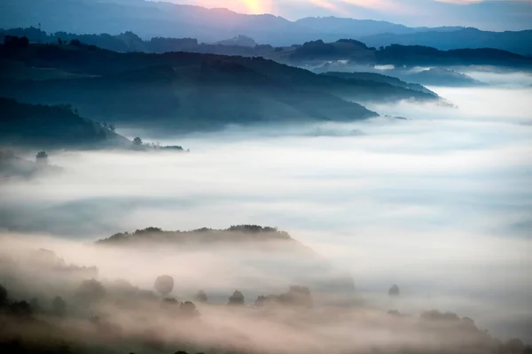 Beautiful Landscape Mountains Sunrise View Foggy Hills Valley Covered Forest — Stock Photo, Image