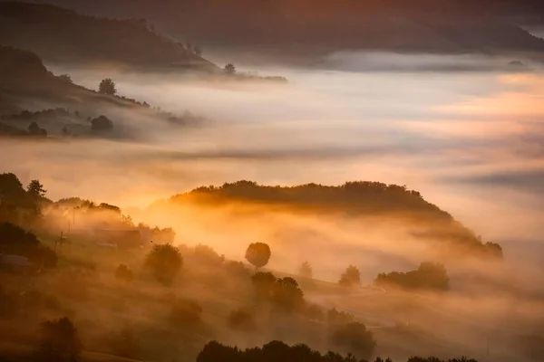日の出の山の中で美しい風景です 森に覆われた霧深い丘や谷の景色 — ストック写真