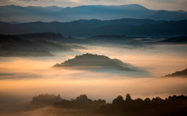 Gün doğumunda dağlarda güzel bir manzara. Ormanla kaplı sisli tepeler ve vadi manzarası.