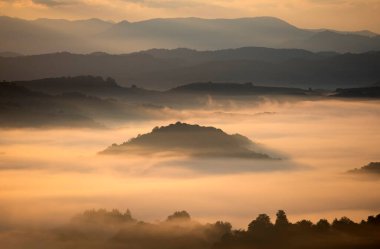 Gün doğumunda dağlarda güzel bir manzara. Ormanla kaplı sisli tepeler ve vadi manzarası.