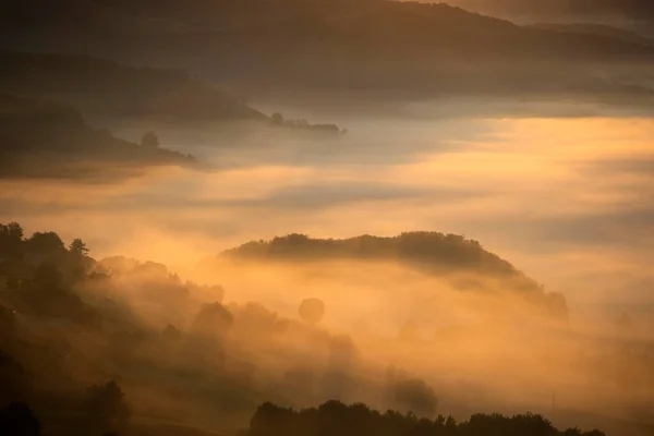 日出时山中美丽的风景 雾蒙蒙的山丘和被森林覆盖的山谷 — 图库照片