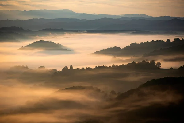 Beautiful landscape in the mountains at sunrise. View of foggy hills and valley covered by forest.