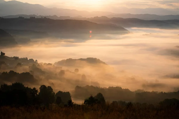 日出时山中美丽的风景 雾蒙蒙的山丘和被森林覆盖的山谷 — 图库照片