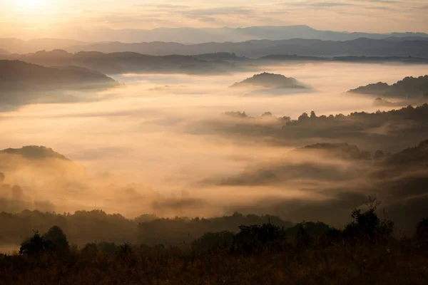 Gün Doğumunda Dağlarda Güzel Bir Manzara Ormanla Kaplı Sisli Tepeler — Stok fotoğraf