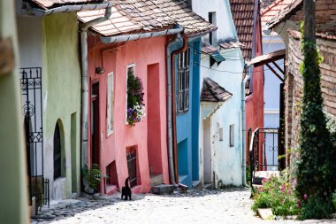 Sighisoara, Romanya. Taş, Avrupa 'nın Transilvanya bölgesindeki Sighisoara kalesinde renkli evleri olan eski sokakları asfaltladı.