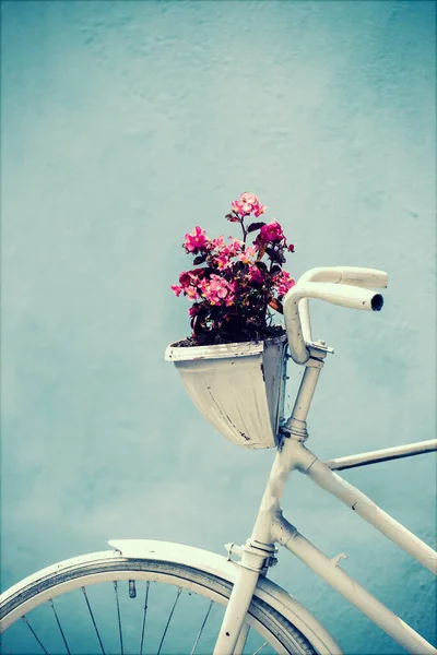 Decorative Vintage Bicycle Flower Pot Blue Wall — Stock Photo, Image