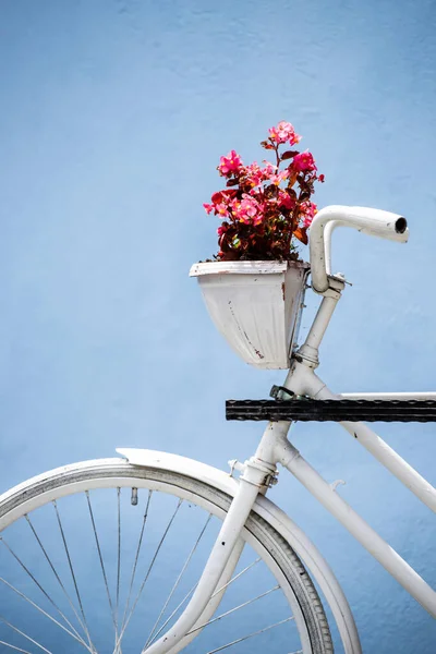 蓝色墙壁上装饰老式自行车和花盆 — 图库照片