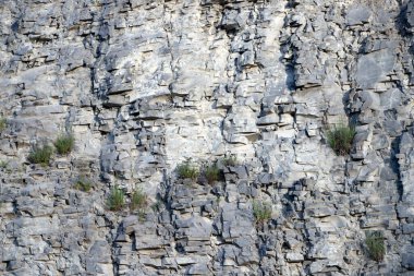 Romanya 'nın Brasov ilçesi Transilvanya yakınlarındaki Racos köyünden zümrüt göl.