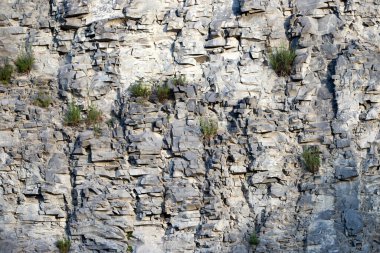 Romanya 'nın Brasov ilçesi Transilvanya yakınlarındaki Racos köyünden zümrüt göl.