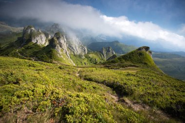 Romanya 'nın sisli Ciucas dağlarının manzarası.