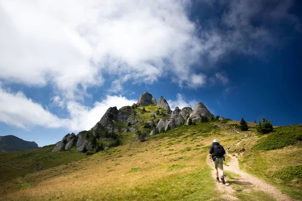 Samotny Podróżnik Górach Ciucas Rumunia Najbardziej Malownicze Góry Karpat — Zdjęcie stockowe