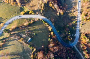 Gün batımında güzel bir sonbahar ormanında yol manzarası..