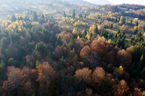 Барвистий Магічний Осінній Гірський Пейзаж — стокове фото