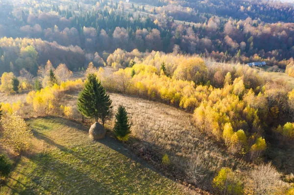 Барвистий Магічний Осінній Гірський Пейзаж — стокове фото