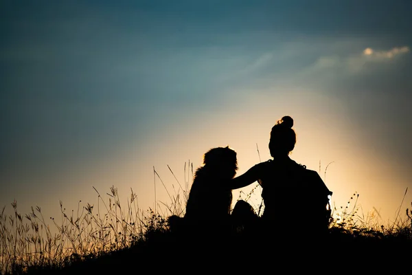 Silueta Mujer Joven Con Perro Atardecer Aire Libre — Foto de Stock