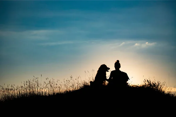 Silueta Mujer Joven Con Perro Atardecer Aire Libre — Foto de Stock