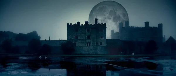 Castle in mystic fog in dark night.