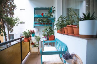 Yazın küçük, parlak bir apartman terası. Çiçekler ve mavi süslemelerle..