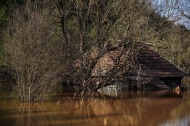 Flooded and abandoned village in the middle of a lake contaminated with cyanide at Geamana, near Rosia Montana, Romania