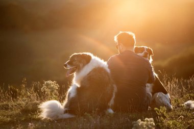 İnsan ve köpekleri güzel günbatımının tadını çıkarıyor.