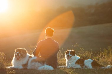 İnsan ve köpekleri güzel gün batımının tadını çıkarıyorlar..