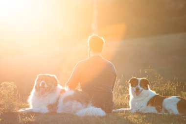 İnsan ve köpekleri güzel gün batımının tadını çıkarıyorlar..
