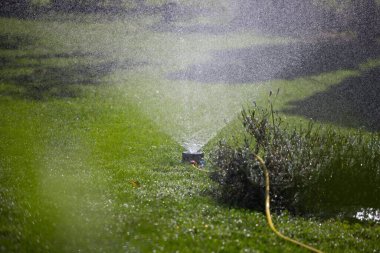 Su püskürtme sistemi yeşil bir çimenliği ince bir suyla suluyor..