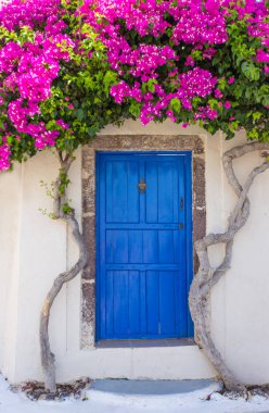 Eski köy Emporio Yunanistan Santorini Adası üzerinde güzel çiçek açan bougenvilia.