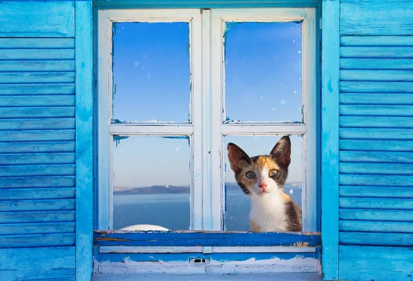 Bella finestra greca d'epoca con persiane blu. Immagine tipica greca . — Foto Stock