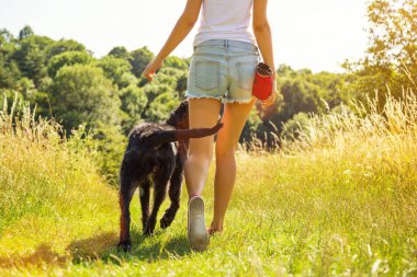 genç kadın ile onun köpek yürüyüş.