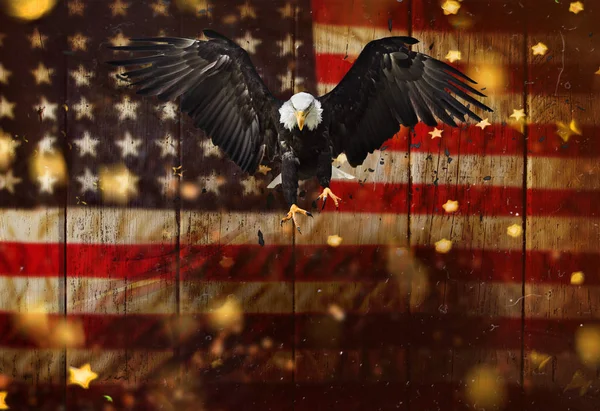 Bald Eagle flying with American flag — Stock Photo, Image