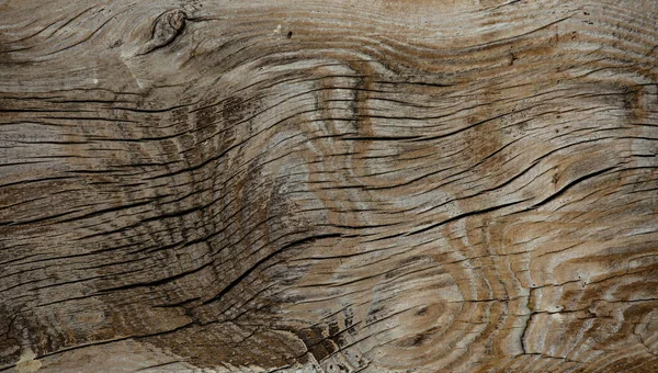 Textura de madeira vintage velha com padrões naturais . — Fotografia de Stock