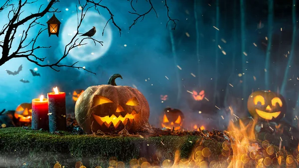 Halloween Pompoenen Donker Griezelig Bos Met Blauwe Mist Achtergrond — Stockfoto