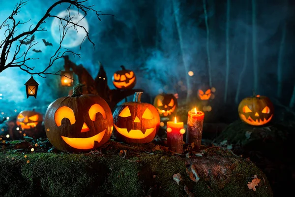 Halloween Pumpor Mörk Kuslig Skog Med Blå Dimma Bakgrunden — Stockfoto