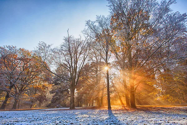 Kleurrijke Herfst Bos Bedekt Met Eerste Sneeuw Poeder Prachtige Landelijke — Stockfoto