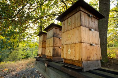 Uçan arıdan yakın çekim.