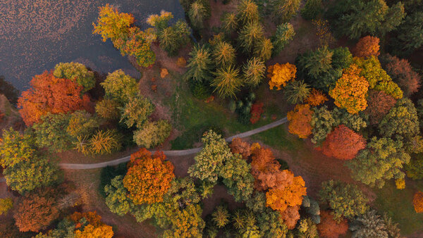 Aerial view of beautiful autumn foliage forest.