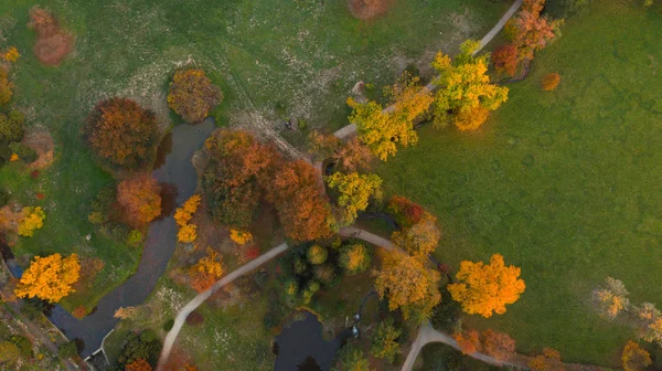 A légi felvétel a őszi lombozat erdő. — Stock Fotó