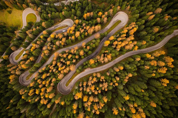 Vlnité silnice v atumn lese. — Stock fotografie