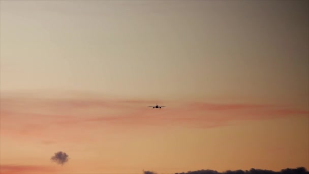 Vliegtuig opstijgt tijdens zonsondergang. — Stockvideo