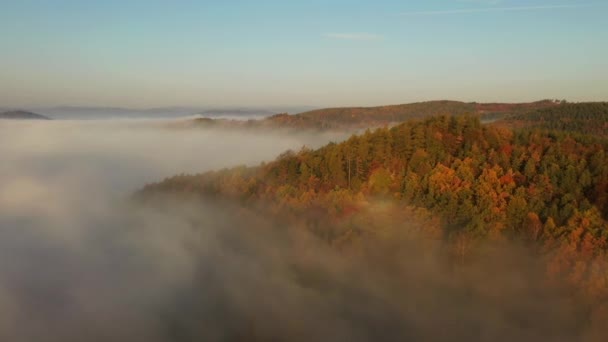 Nebelschwaden über den herbstlichen Wäldern, Luftaufnahmen. — Stockvideo