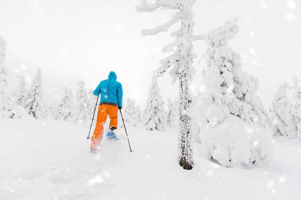 Paysage ensoleillé d'hiver avec homme en raquettes . — Photo