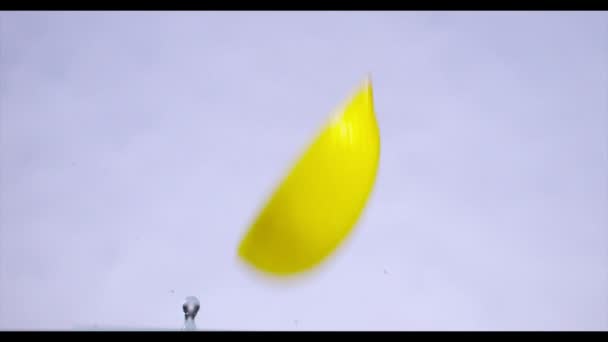 Fatias de limão caindo na água, câmera lenta . — Vídeo de Stock
